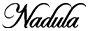 Nadula Hair logo