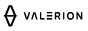 VALERIOIN logo
