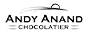 Andyanand logo